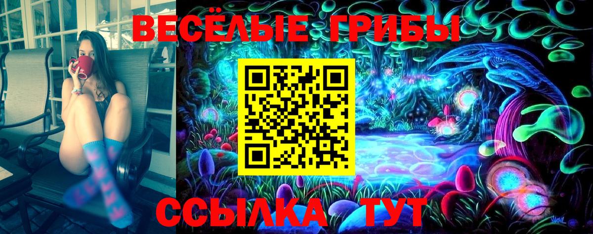 Прохладный  Галлюциногенные грибы Psilocybine cubensis  Галлюциногенные грибы мухоморы  Вход с VPN 