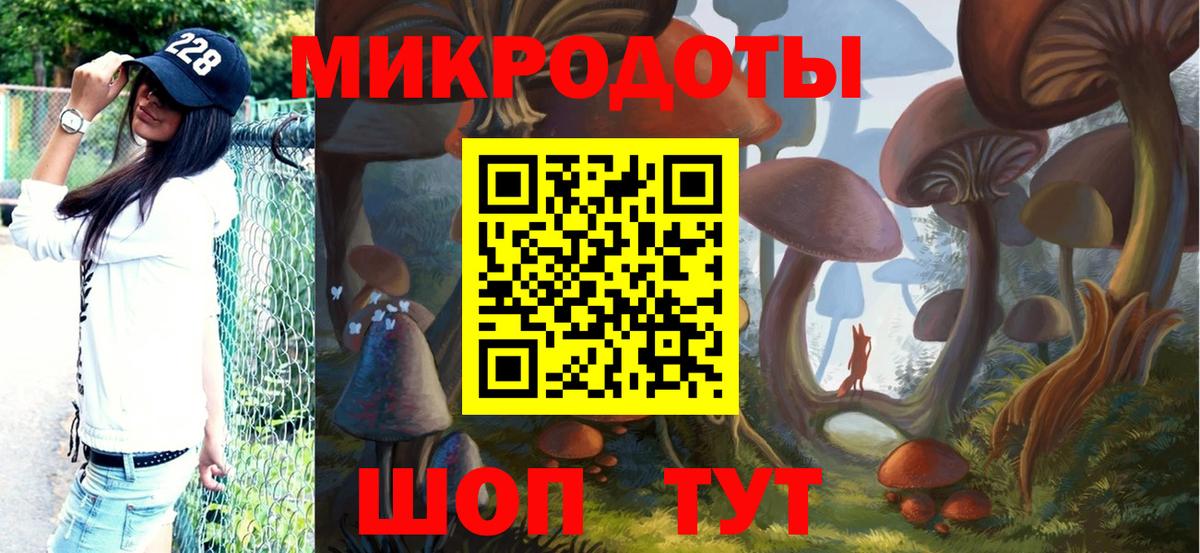 Галлюциногенные грибы мицелий Прохладный